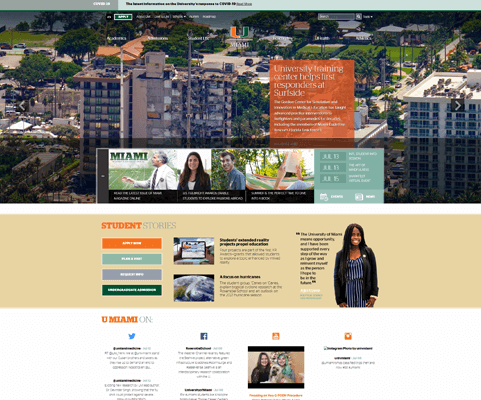 website development