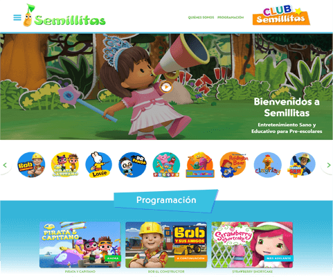 website development